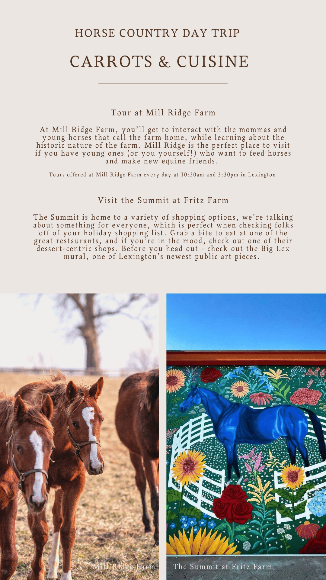VISIT HORSE COUNTRY Winter Guide to Horse Country