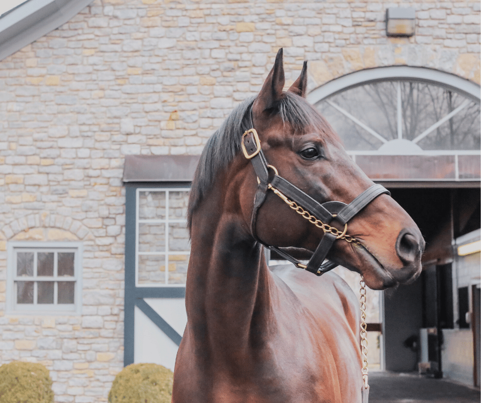 VISIT HORSE COUNTRY Versailles & Midway, Kentucky Itinerary