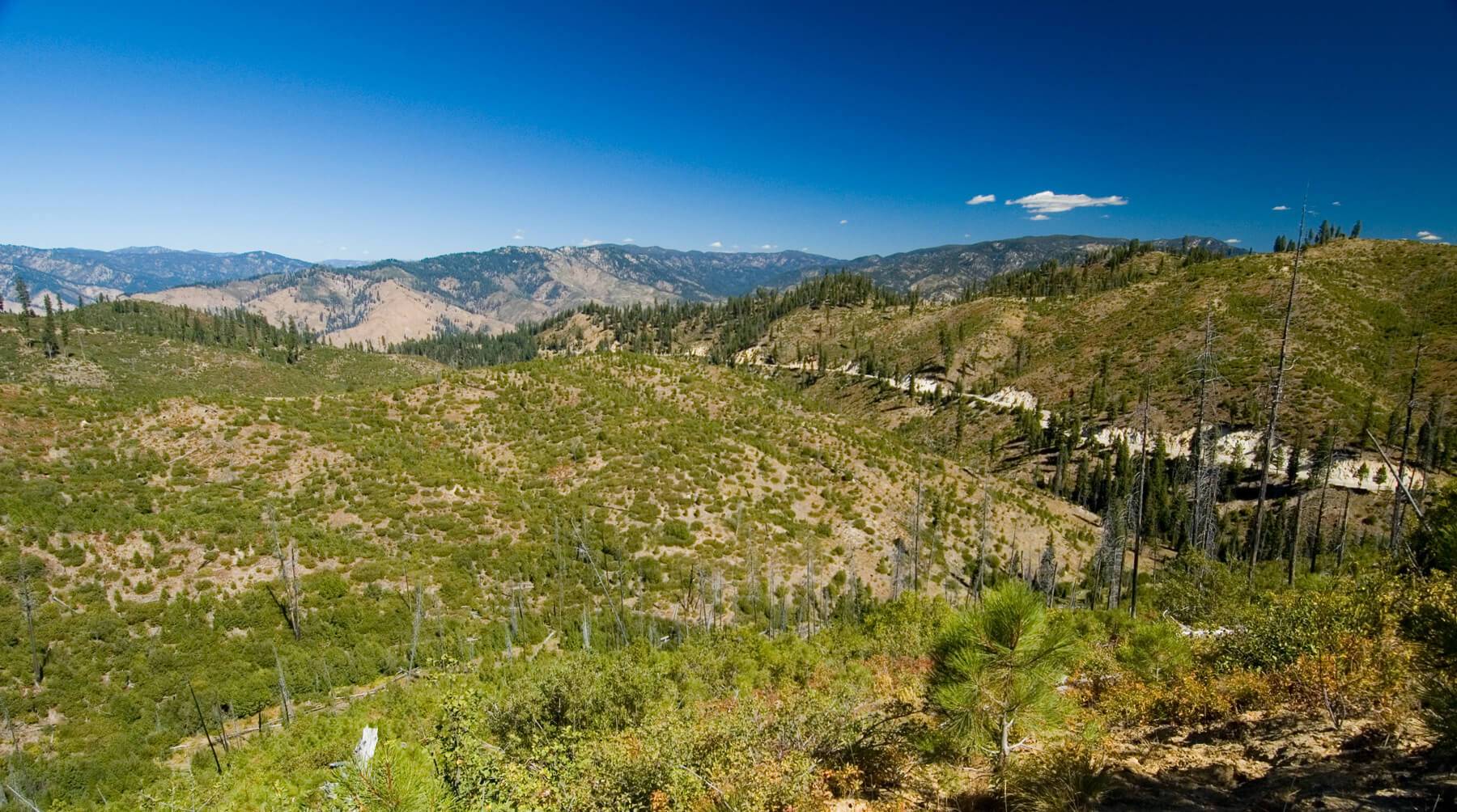 Ponderosa Pine Scenic Byway Visit Idaho