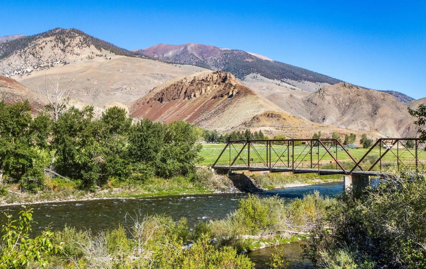 Highlights of a Salmon River Scenic Byway Road Trip Visit Idaho