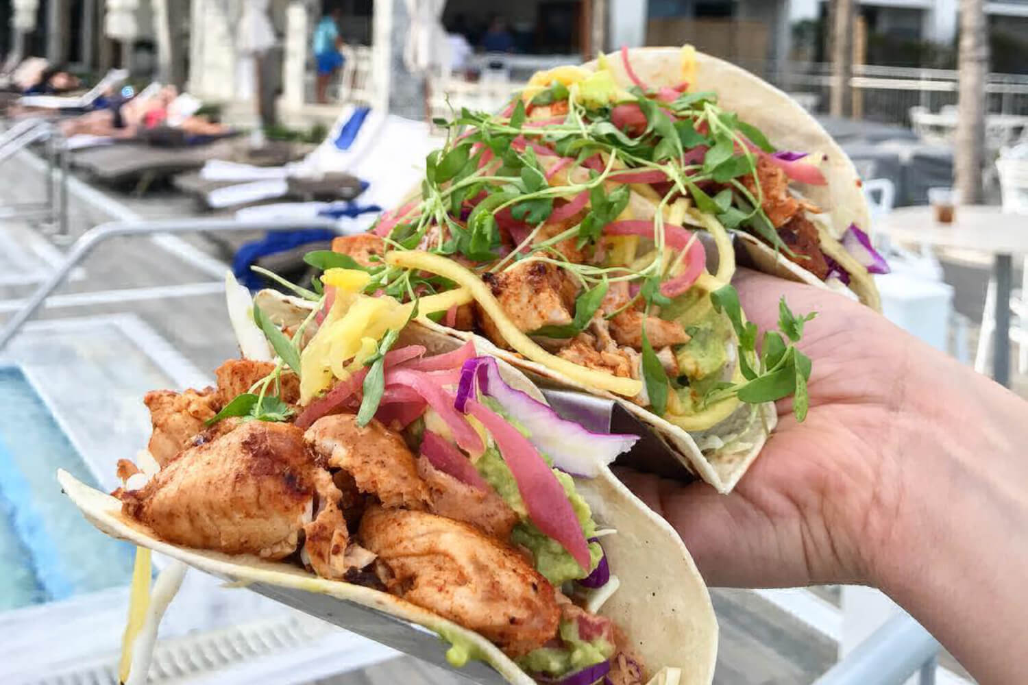 The Best Waterfront Dining in Vero Beach & Sebastian