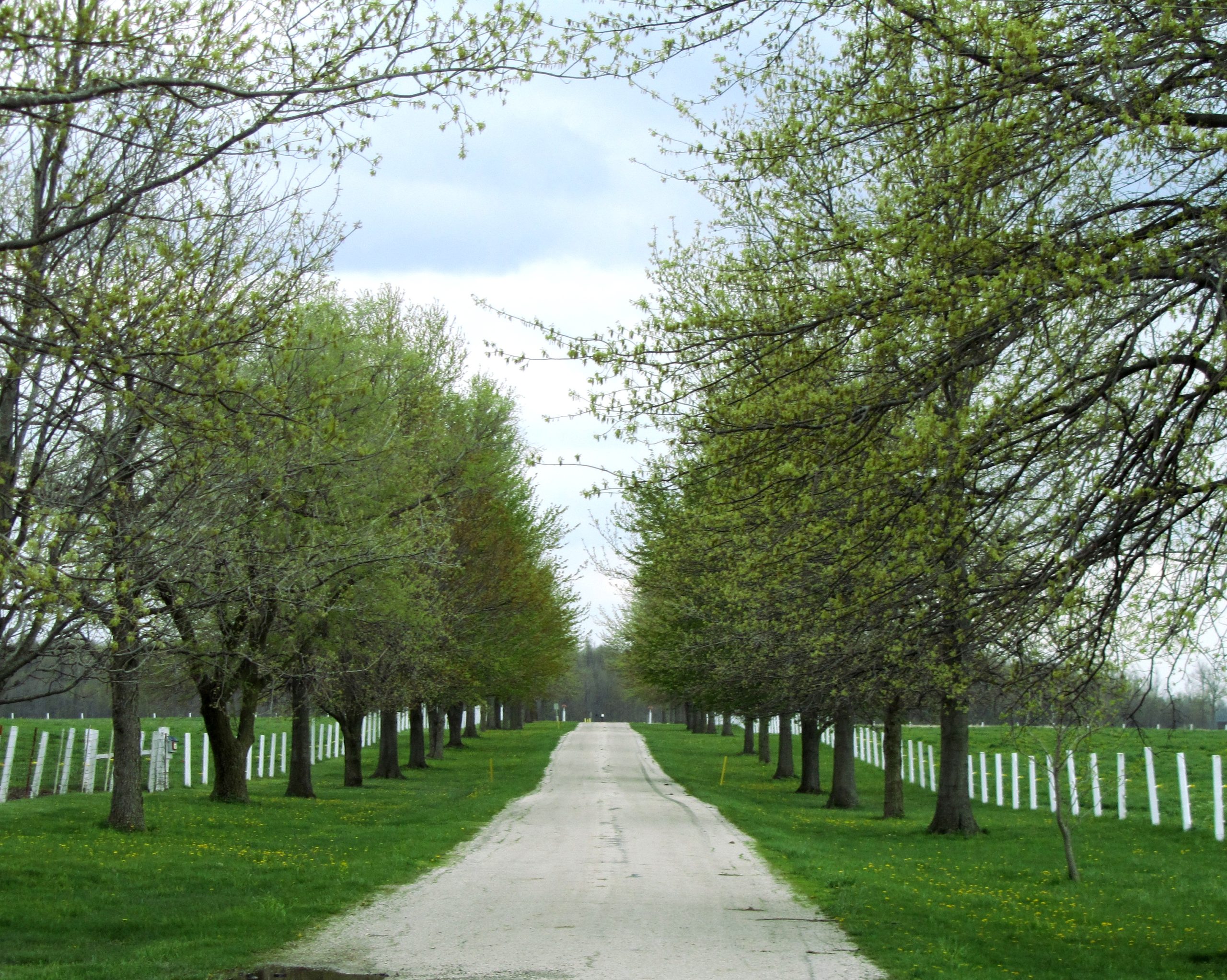 Parks & Trails Visit Jay County