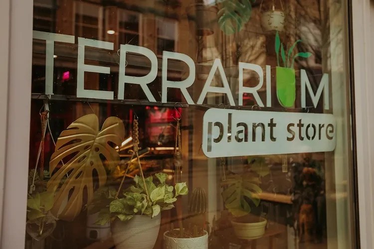 Terrarium Plant Store Johnson City Convention & Visitor Bureau