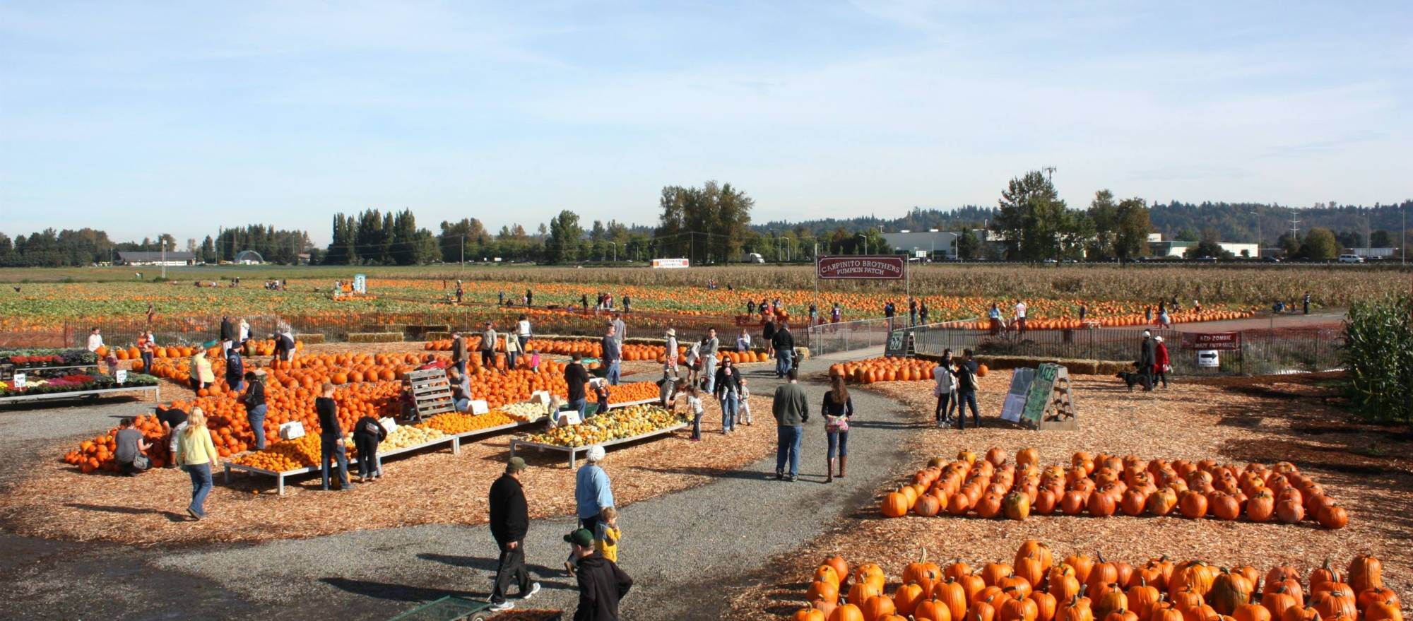 Kent’s Carpinito Brothers serves up a bounty of fall fun Visit Kent