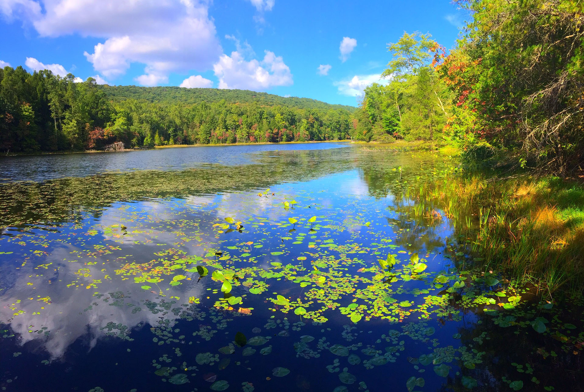 Fishing in Kingsport Visit Kingsport