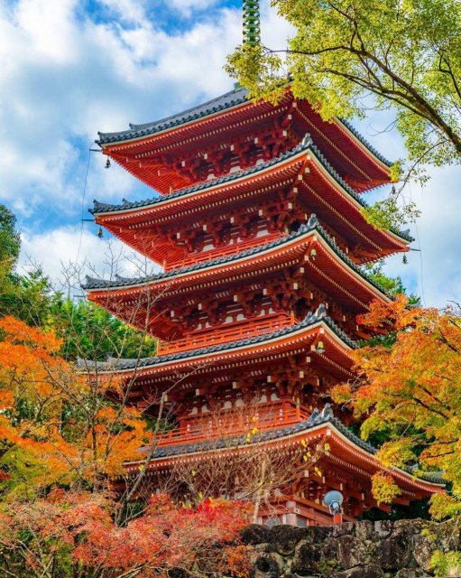 Sunday the best day to visit Kochi City?!｜Topics｜VISIT KOCHI JAPAN