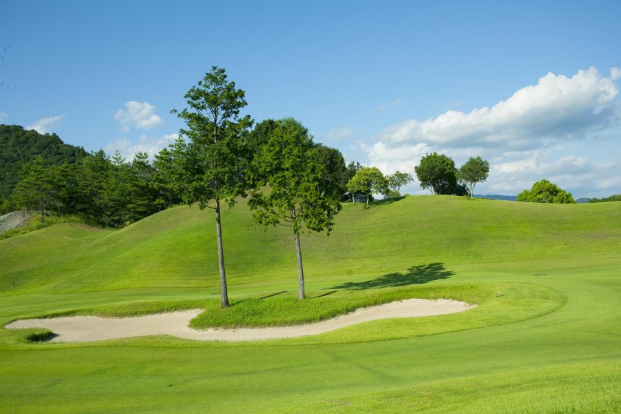 arcola country club menu Struck Gold Newsletter Photographs