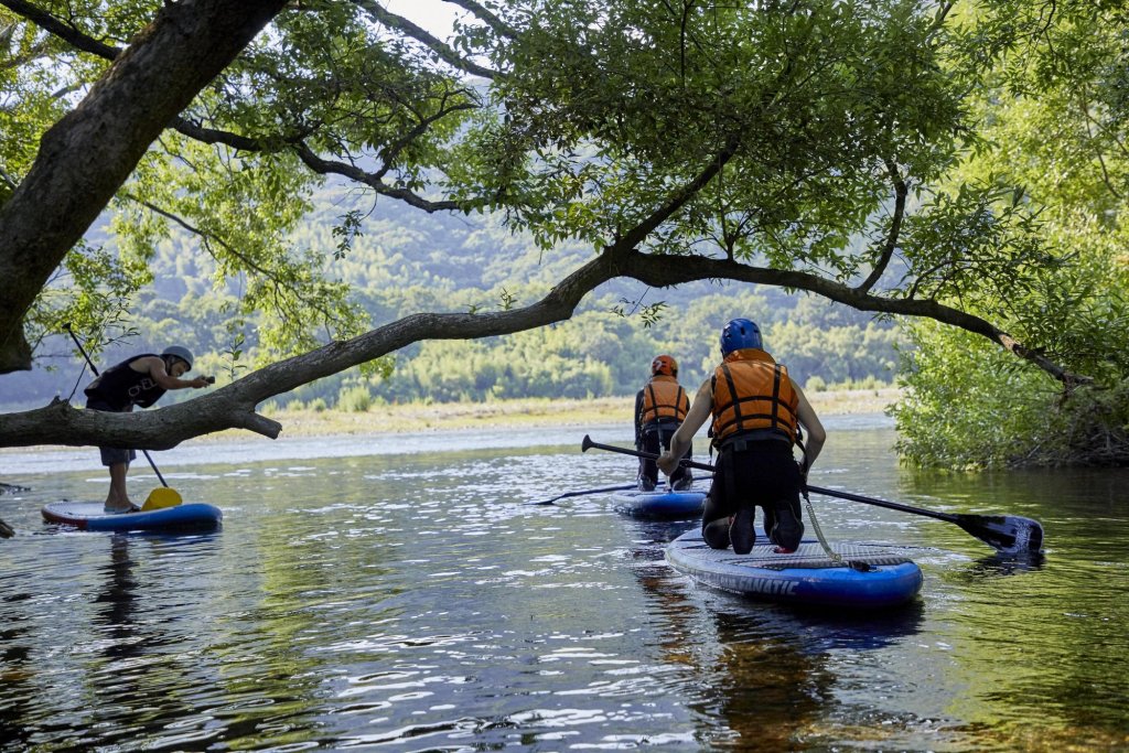 Stand Up Paddleboarding On Kochi’s Rivers and Ocean｜Highlights｜VISIT