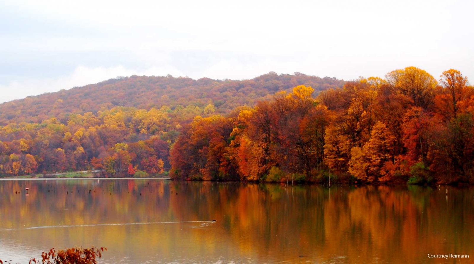 Fall Colors in the Lebanon Valley Visit Lebanon Valley, Pennsylvania