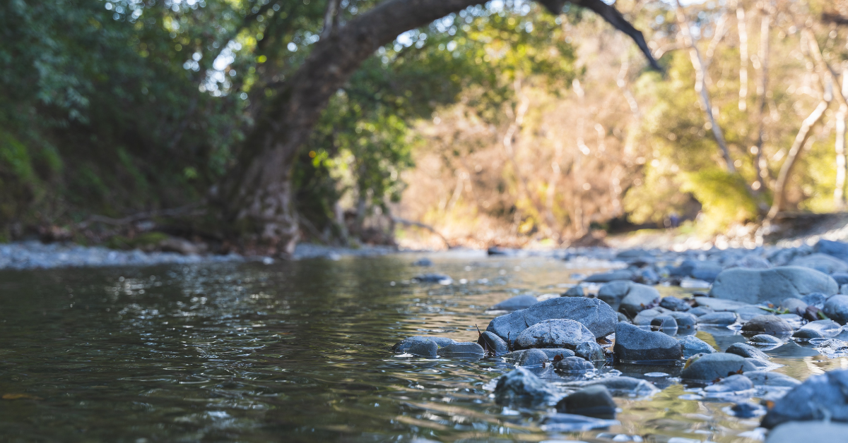 Conewago Creek Visit Lebanon Valley, Pennsylvania