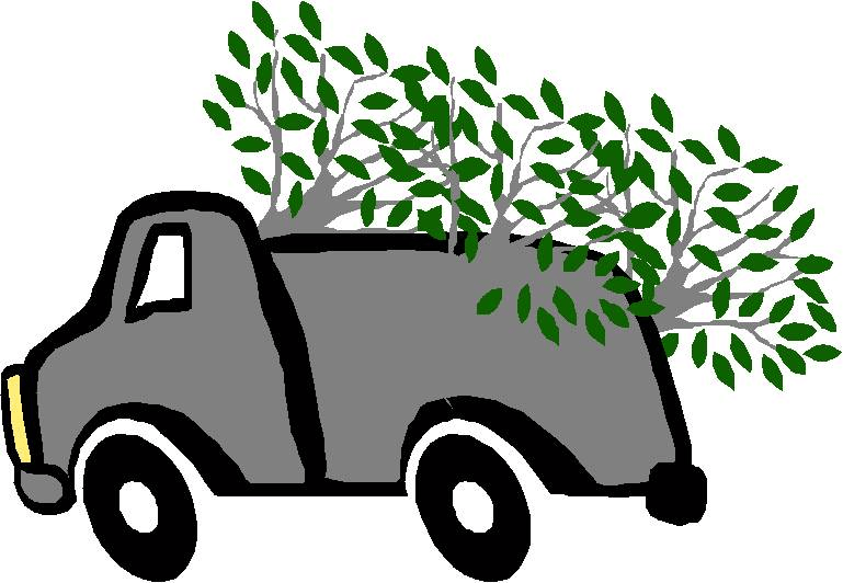 Spring Brush Pick Up The City of Litchfield