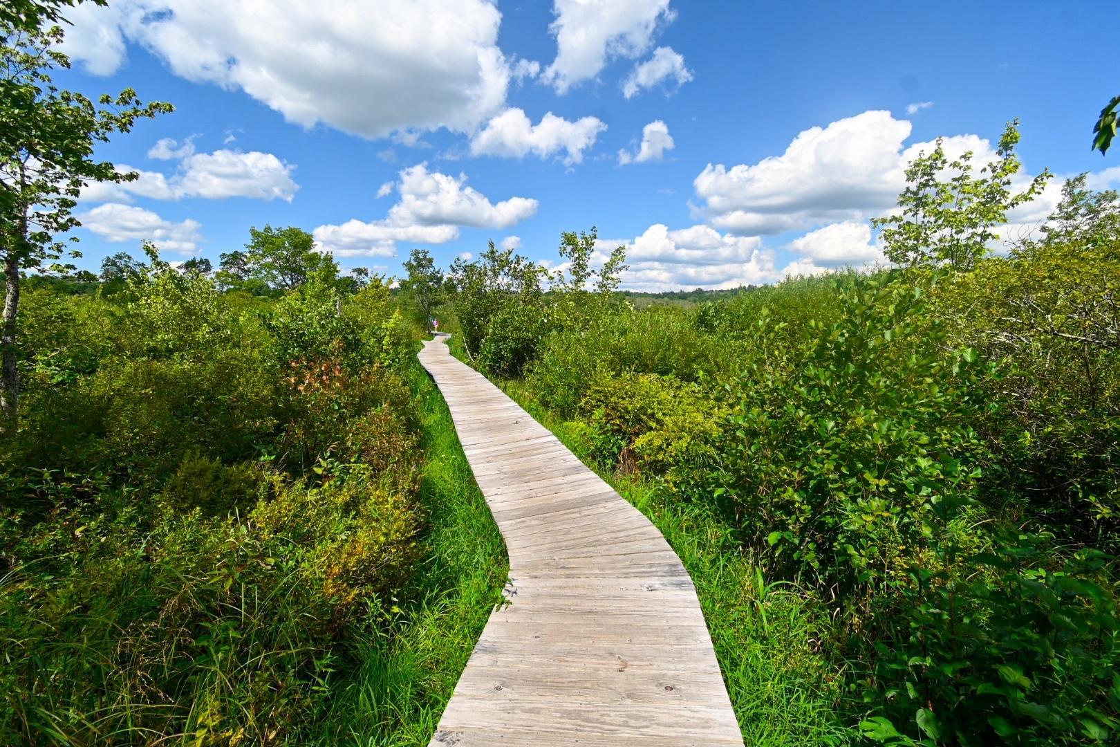 10 Free Things to Do in Litchfield the Last Weekend of July Visit