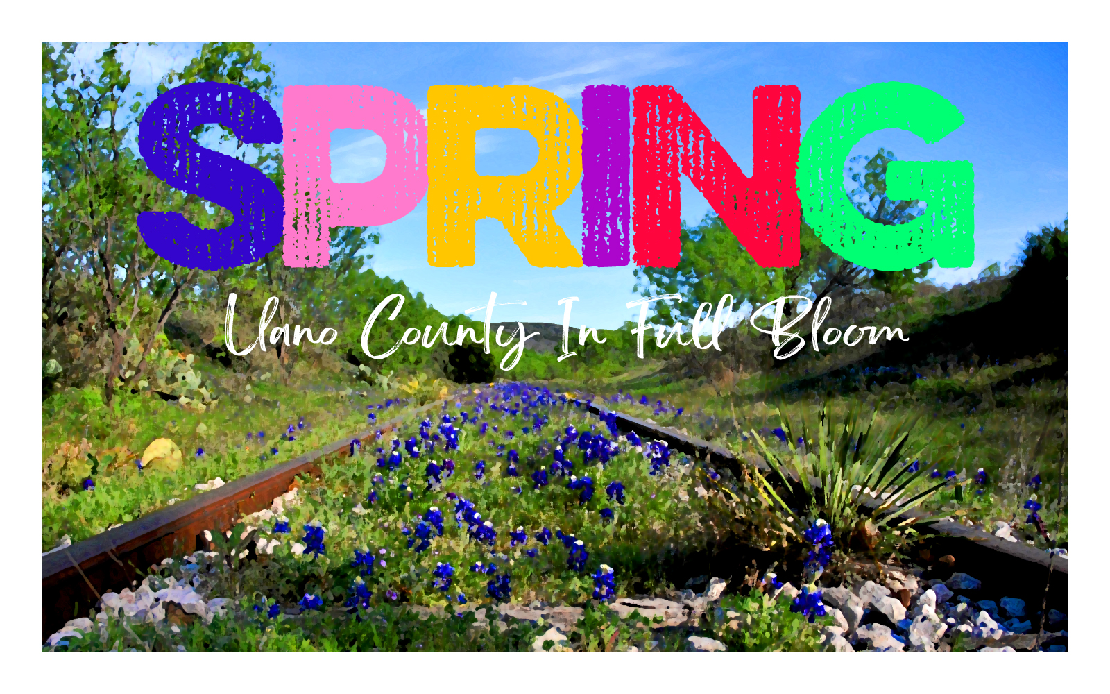 Wildflowers and warmer weather springtime in Llano County Visit
