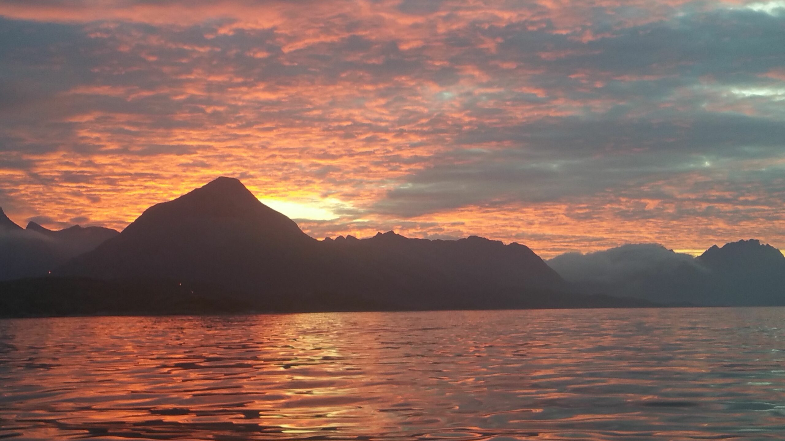 Midnight Sun Fishing from Svolvaer with Go2Lofoten Visit Lofoten