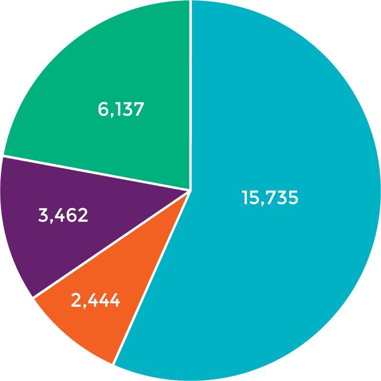 Working Visit Lookout Mountain