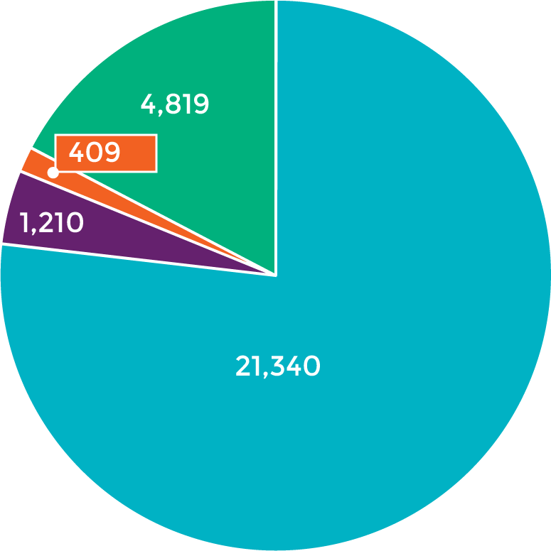 Working Visit Lookout Mountain