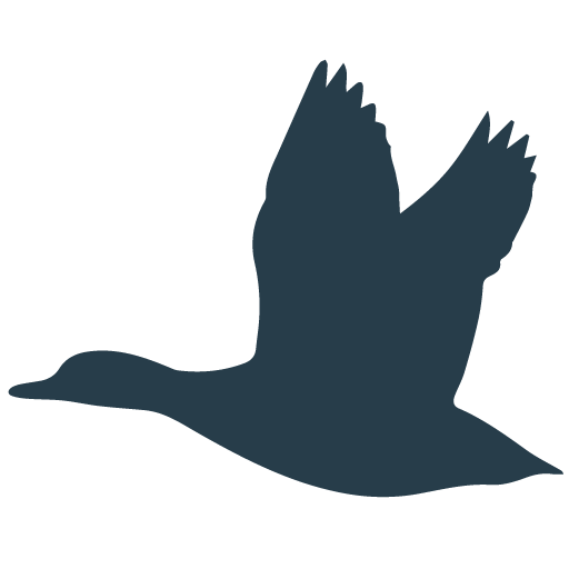 Summer Cabins Loon Lake Lodge