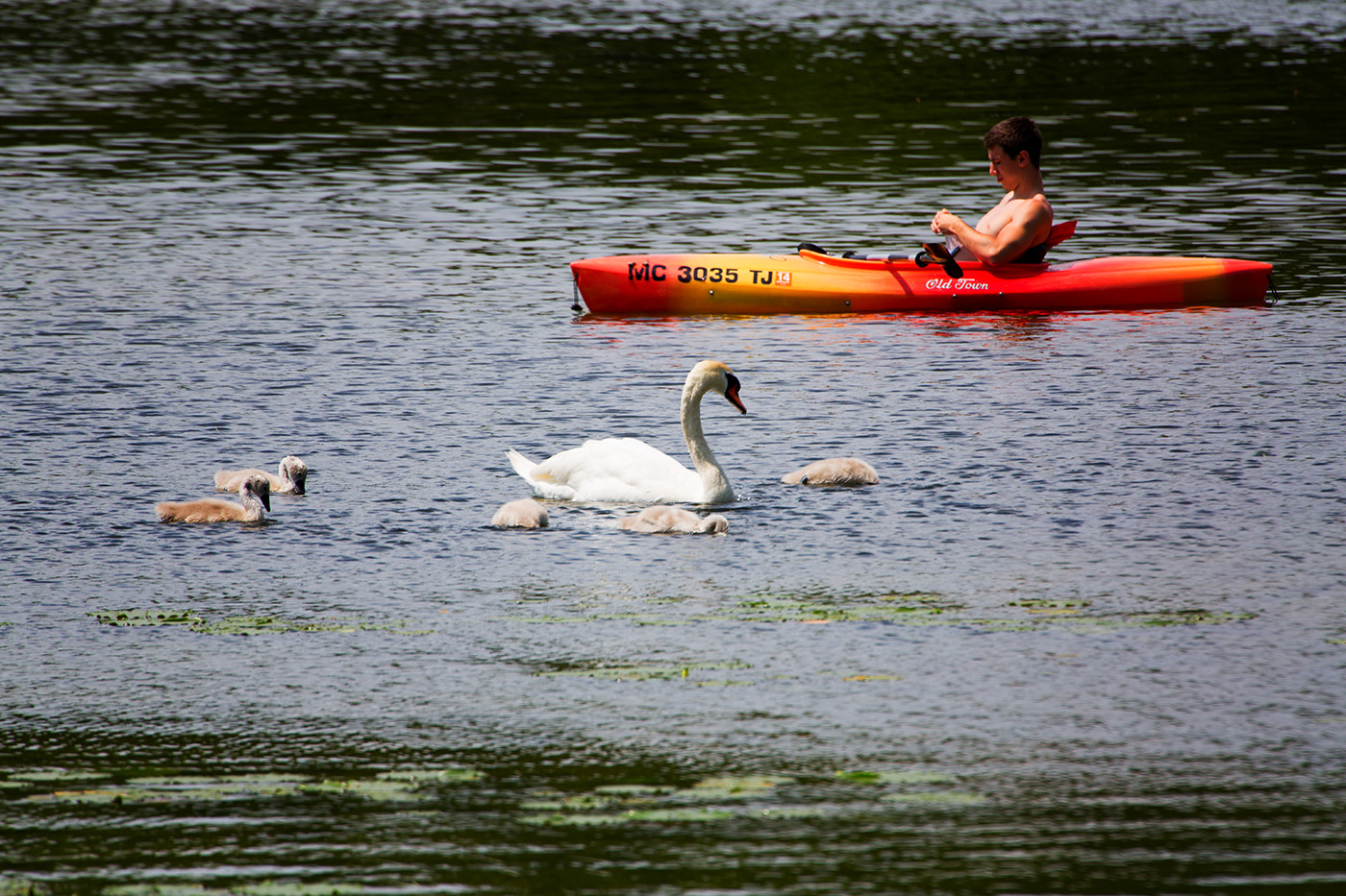 History of Hamlin Lake Visit Ludington