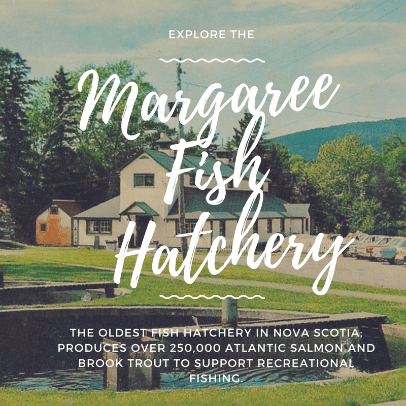 Enjoy the Outdoors Margaree Visitor Information Centre