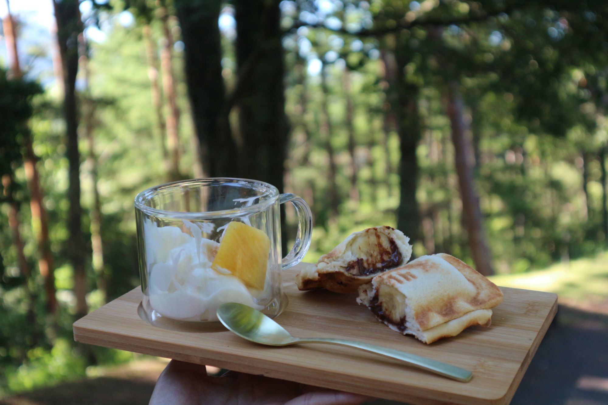 ヨーグルトとホットサンド