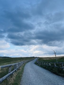 IMG_1890