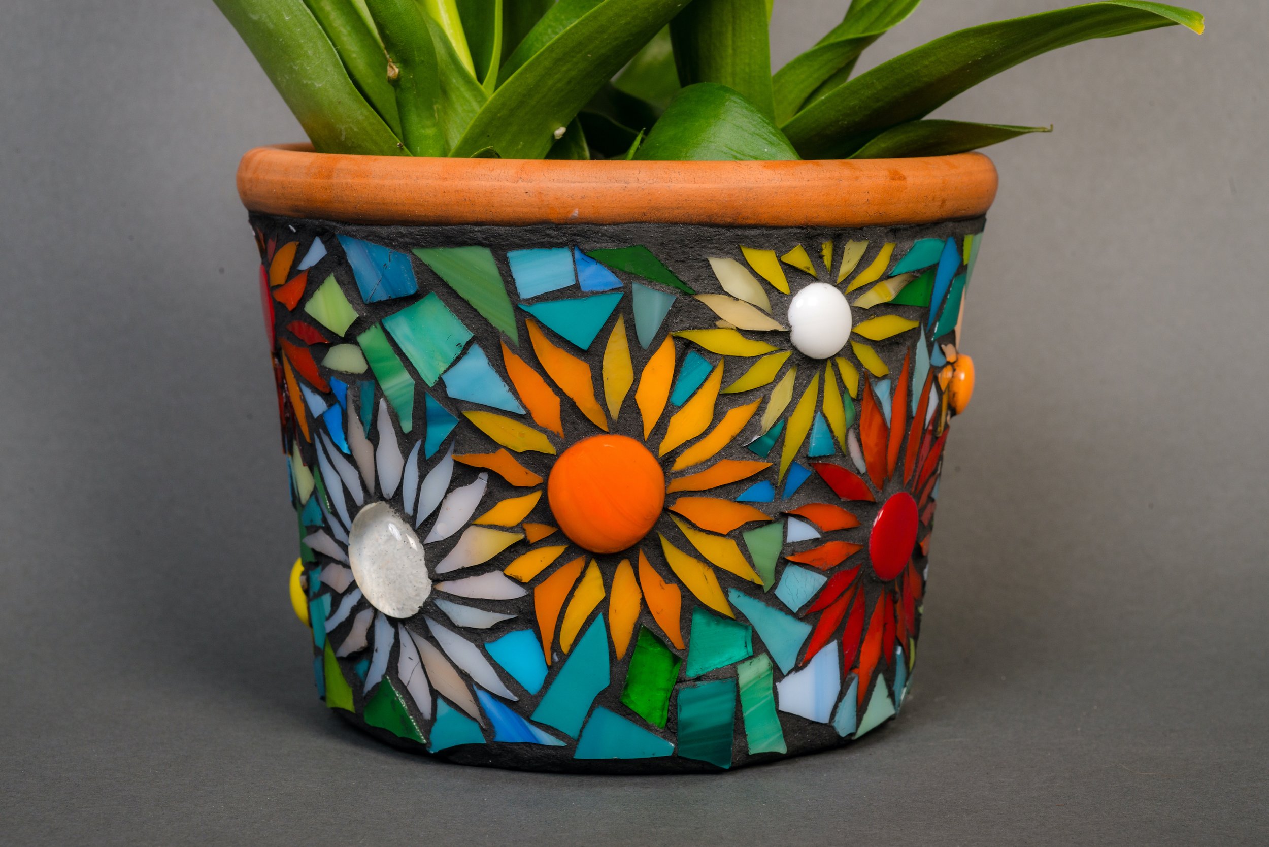 Mosaic Planters With Claire Brill Visit Media PA
