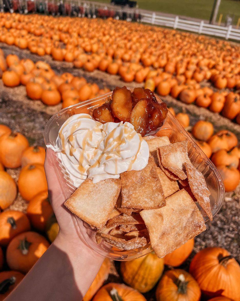 Visit Middle 2023 Fall Festival Farms Guide