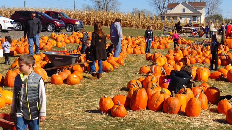 Montgomery County Fall Festivals 2022 Top 7 Festivals To Check Out This Fall - Visit Montgomery