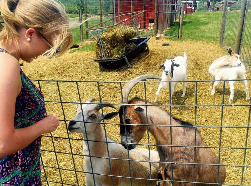 PickYourOwnFarms Visit Montgomery