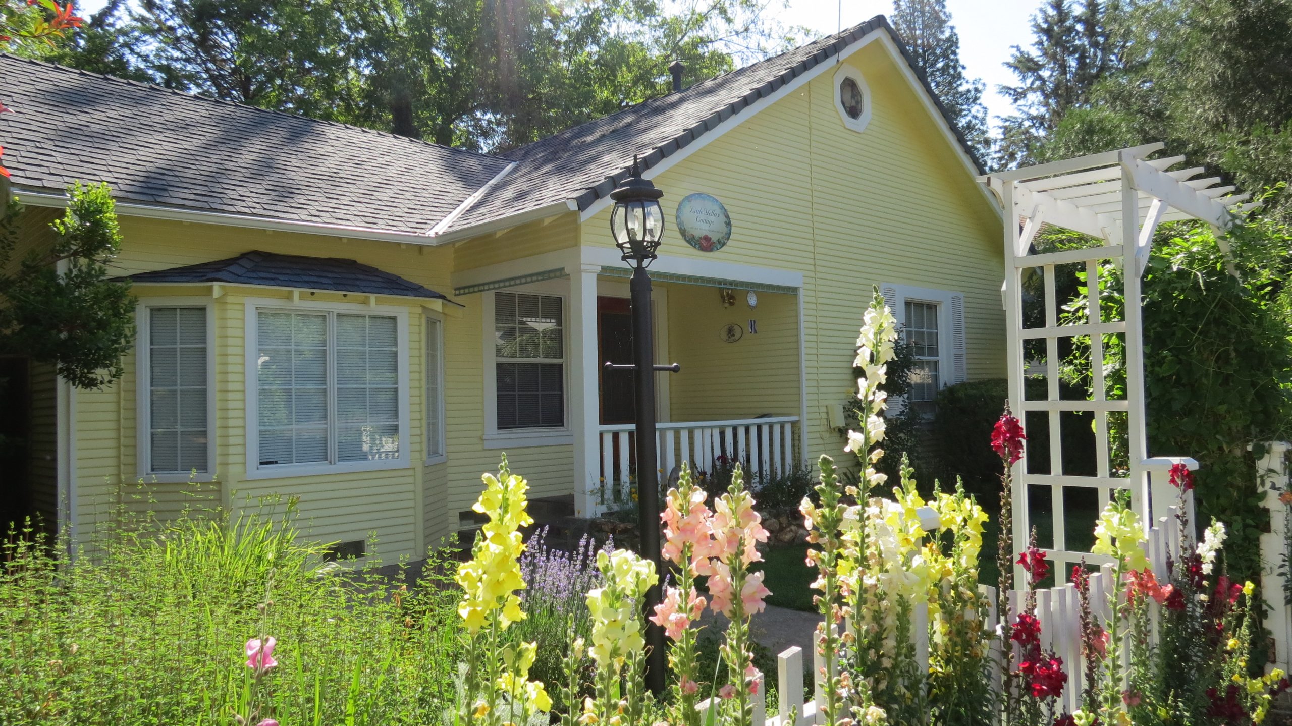 Little Yellow Cottage Murphys, California