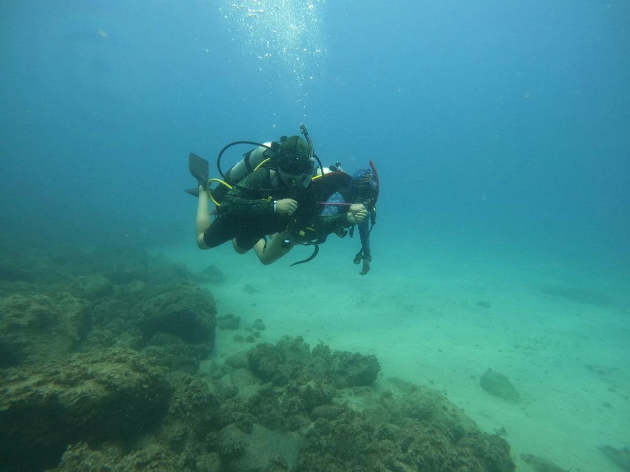 Swim among fish and coral reefs in Riviera Nayarit Visit Nayarit