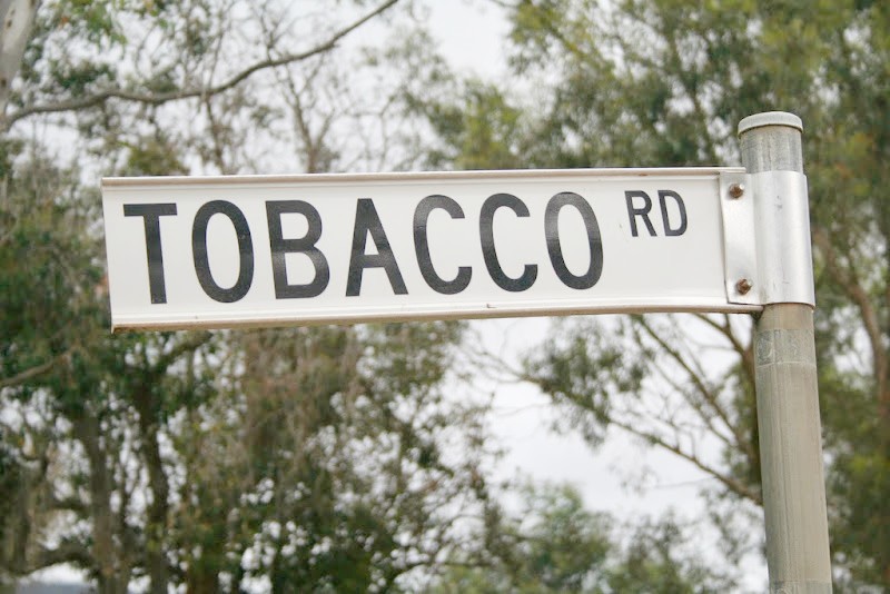 Basketball's Heartland Traveling Tobacco Road Visit NC Concierge