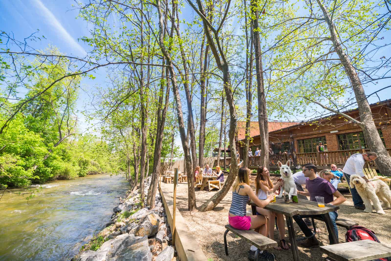 DogFriendly Things to Do in Waynesville Visit NC Smokies