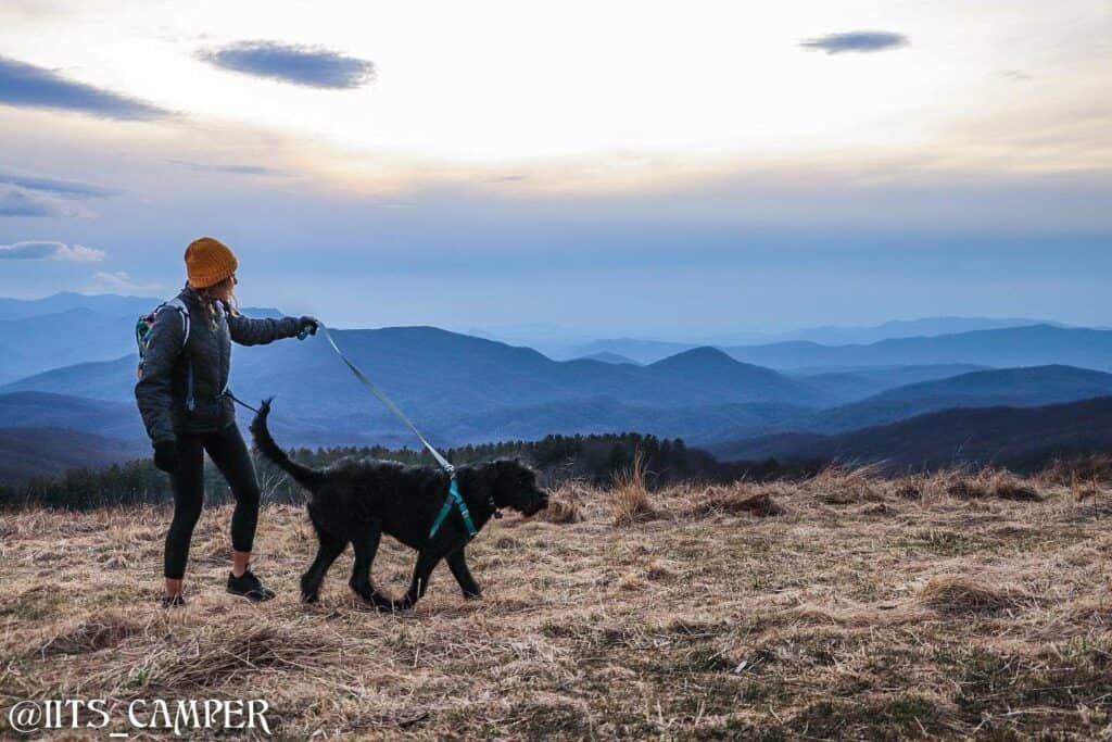 DogFriendly Things to Do in Waynesville Smoky Mountains NC