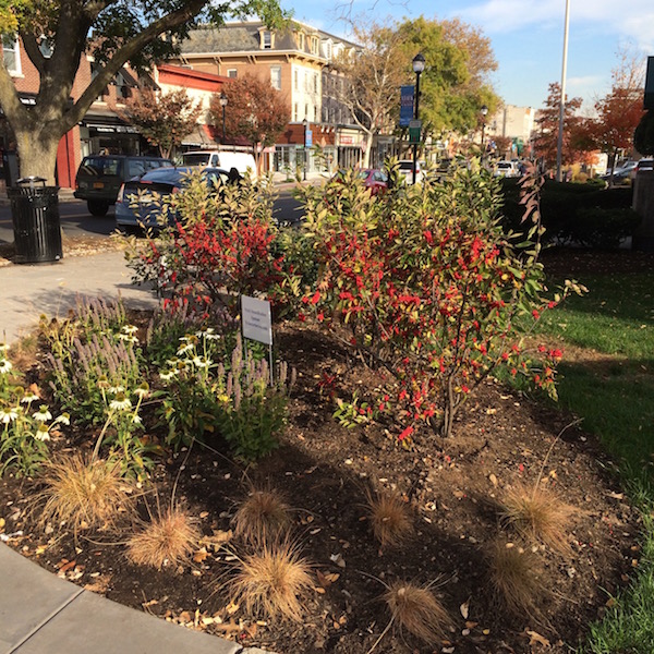 Time Hotel and Wickes Arborists Team Up to Landscape Nyack Visit Nyack