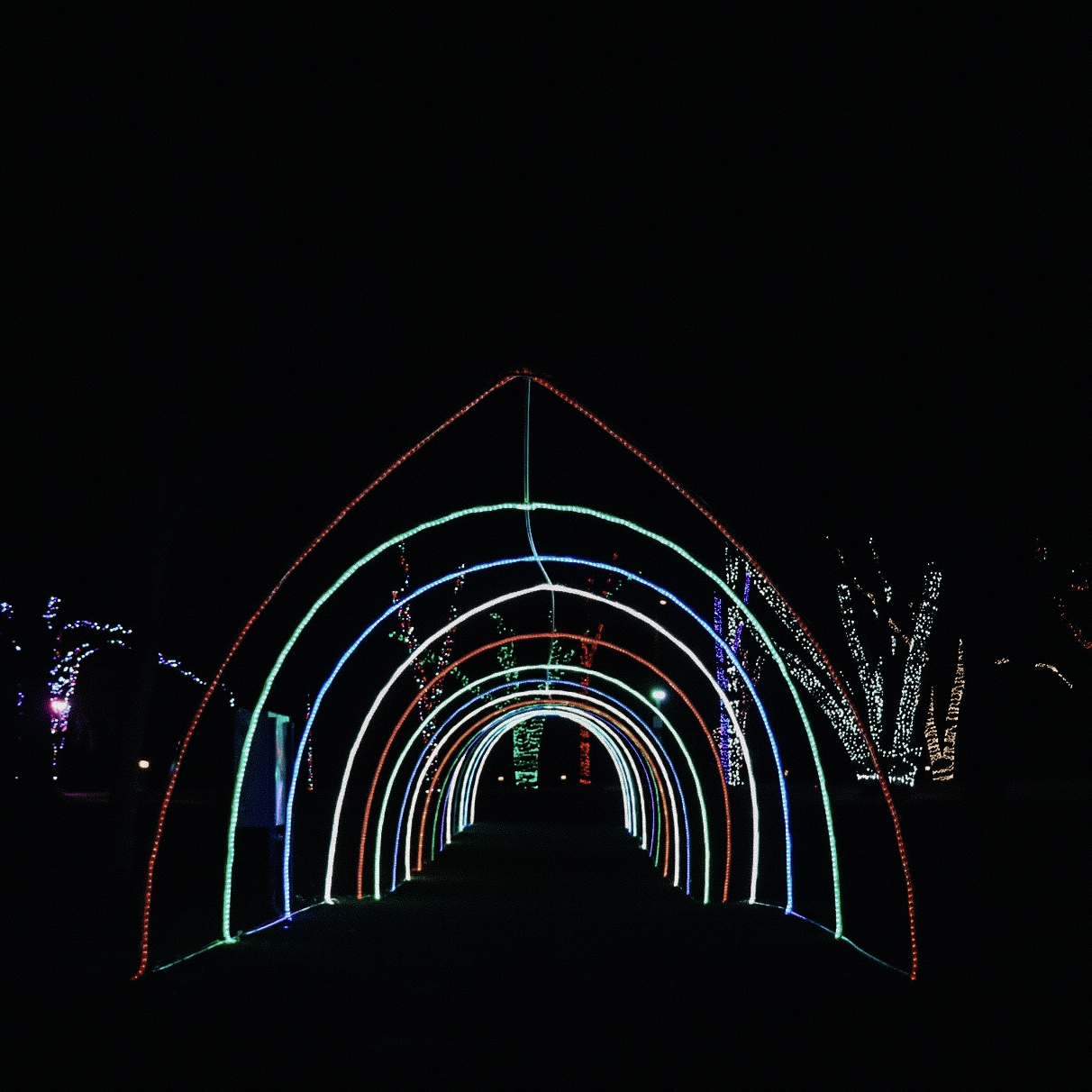 FeatureFriday Tour holiday lights in Oakville Visit Oakville