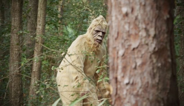 bigfoot festival 2023 westminster sc SC Bigfoot Festival Visit Oconee South Carolina
