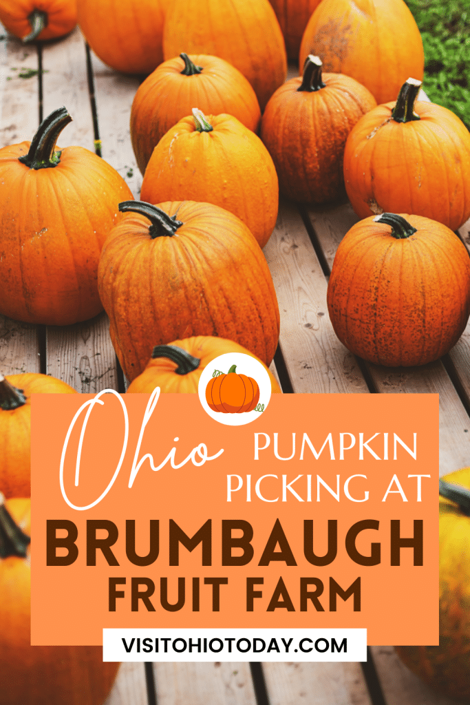 Brumbaugh Fruit Farm Visit Ohio Today