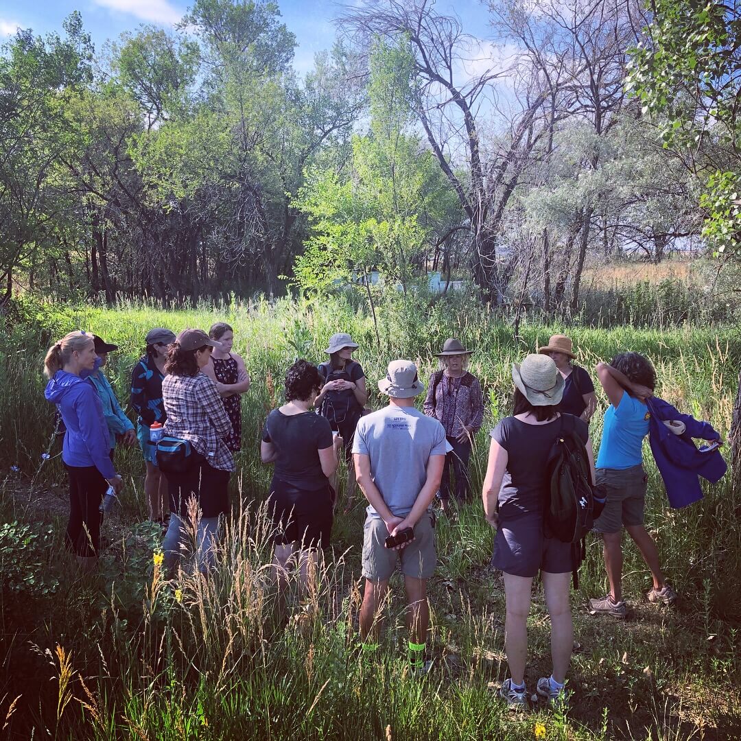 Coal Creek Trail Plant Walk Visit Old Town Lafayette, Colorado