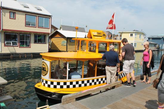 VICTORIA HARBOUR FERRY Visitor In Victoria