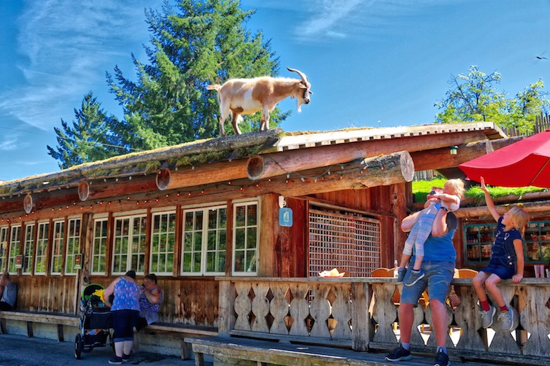 COOMBS COUNTRY MARKET Visitor In Victoria
