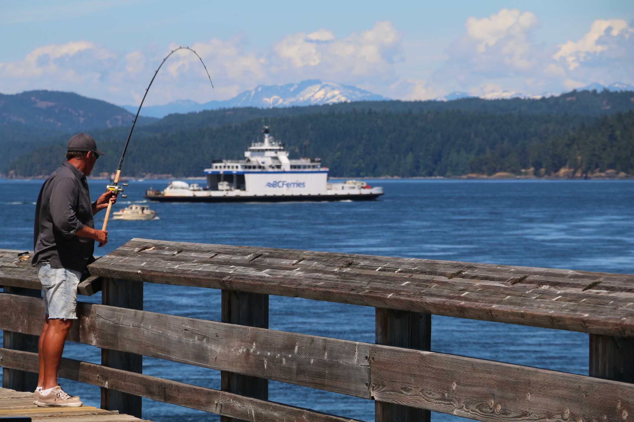 A VISIT TO CAMPBELL RIVER Visitor In Victoria