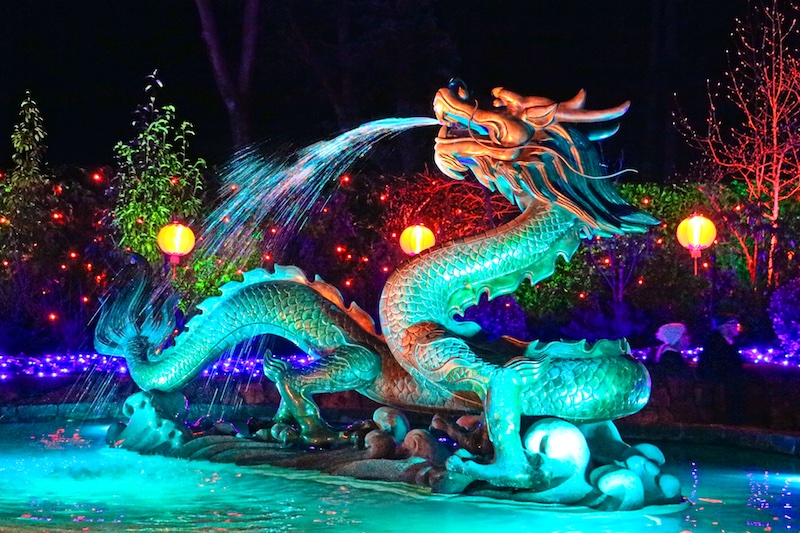 Butchart Garden Christmas Lights Visitor In Victoria