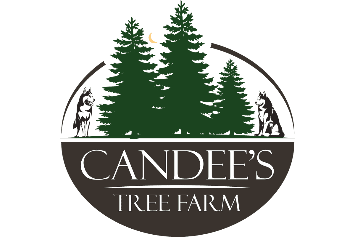 Candee's Tree Farm Visit Oswego County New York