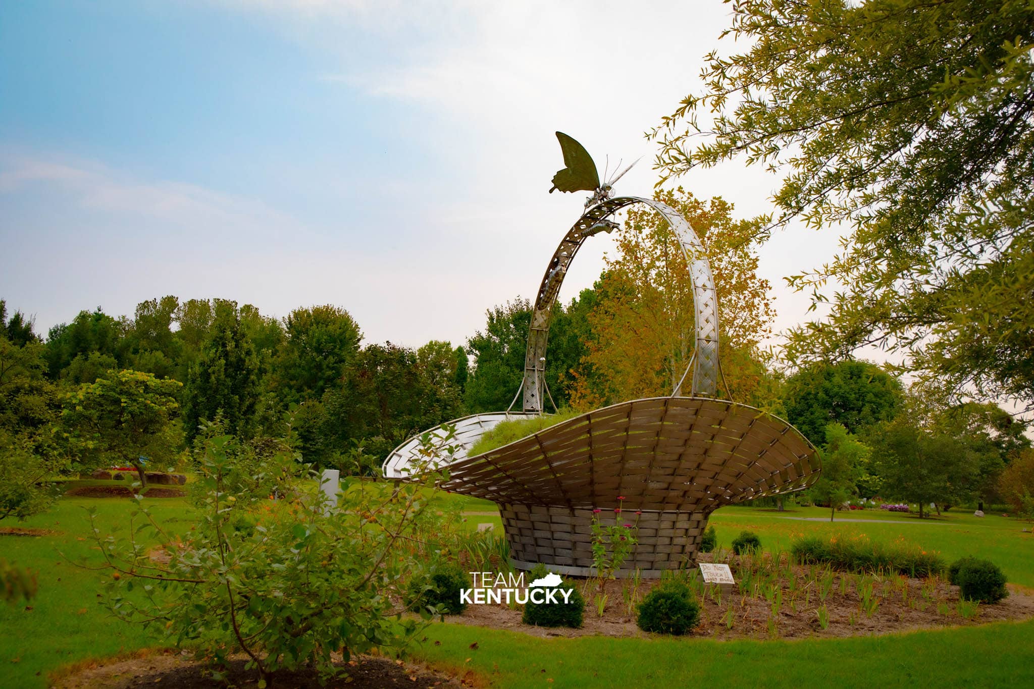 Flowers Owensboro Ky Best Flower Site