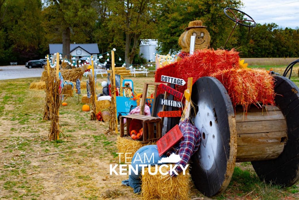 Pumpkins and Mums Where to Find the Best Fall Staples in Owensboro