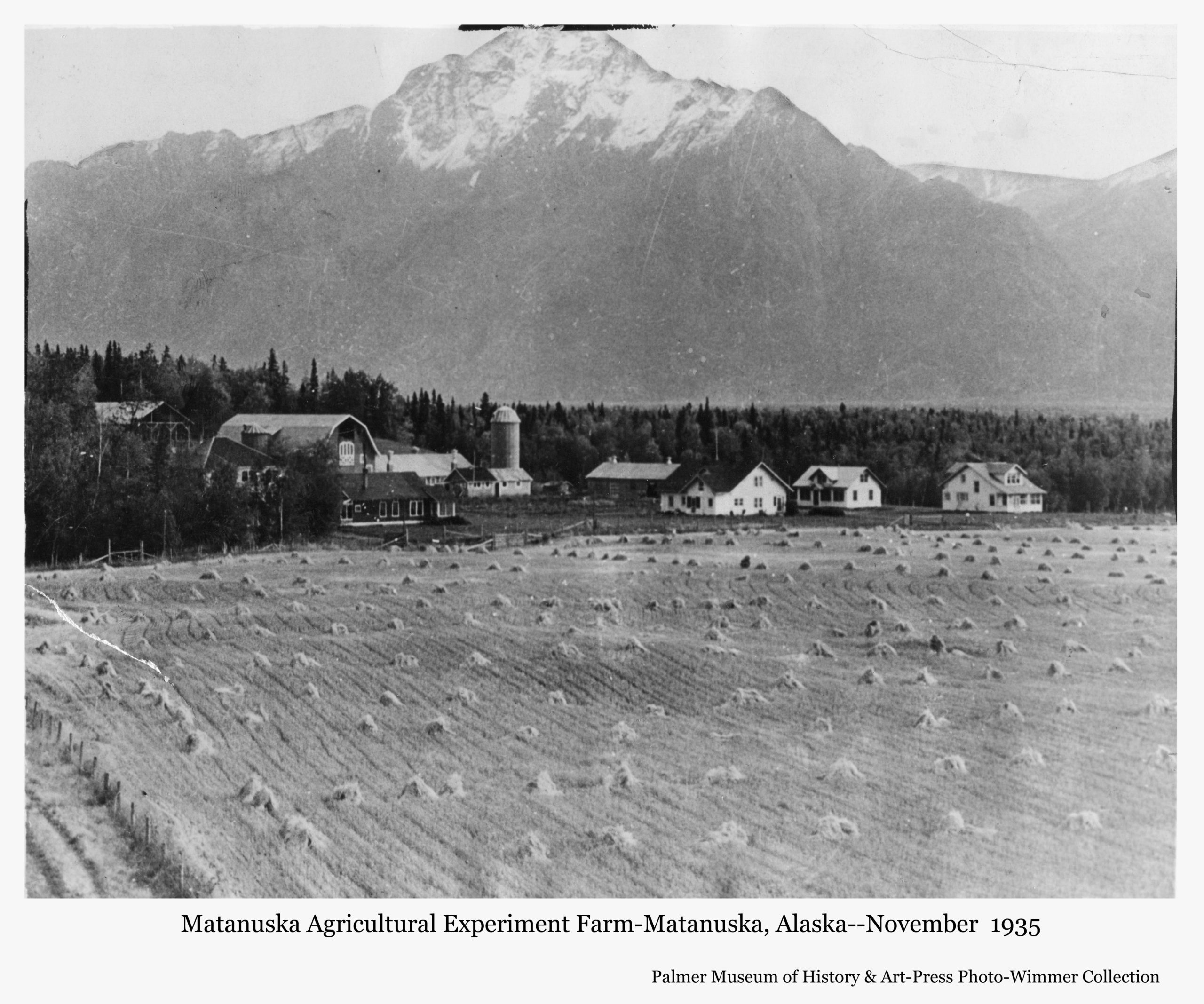Farming in Alaska A Look At the Lush MatSu Valley Visit Palmer
