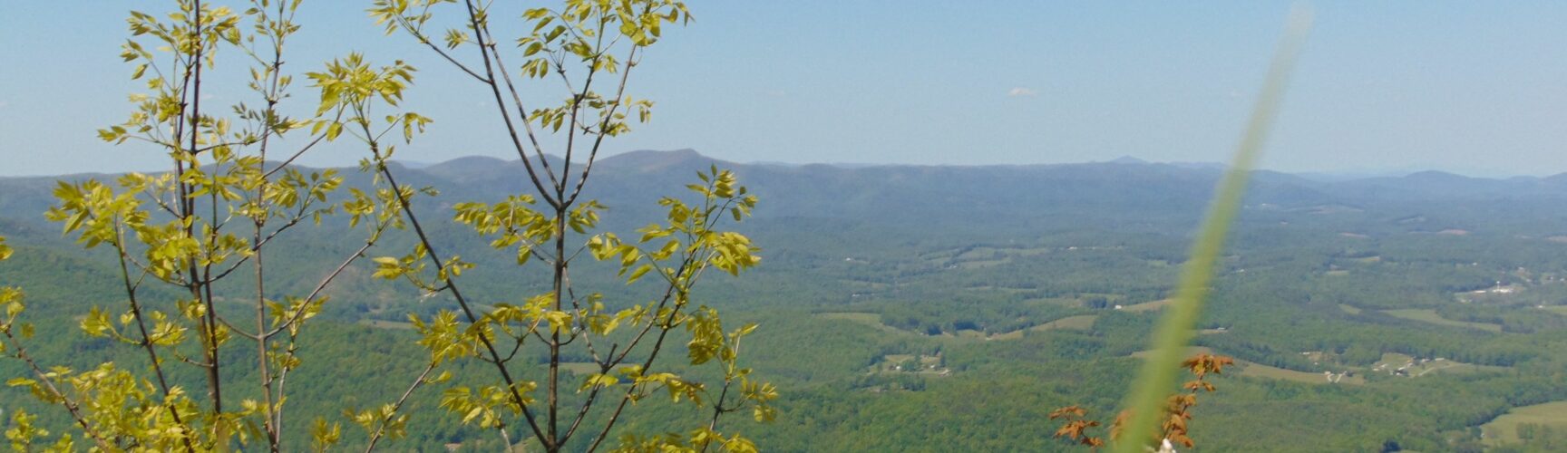 Pinnacles of Dan Trail Visit Patrick County