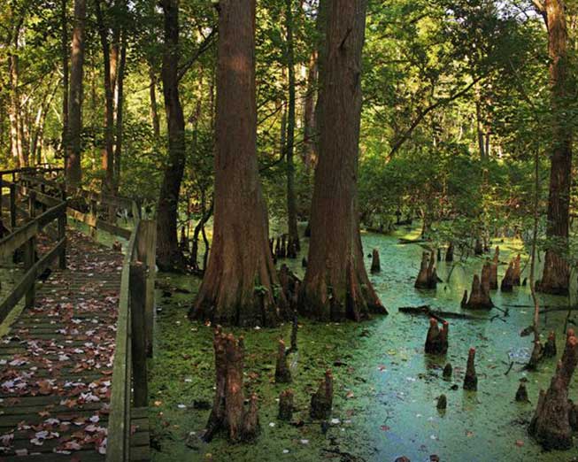 Places of Interest Visit Posey County