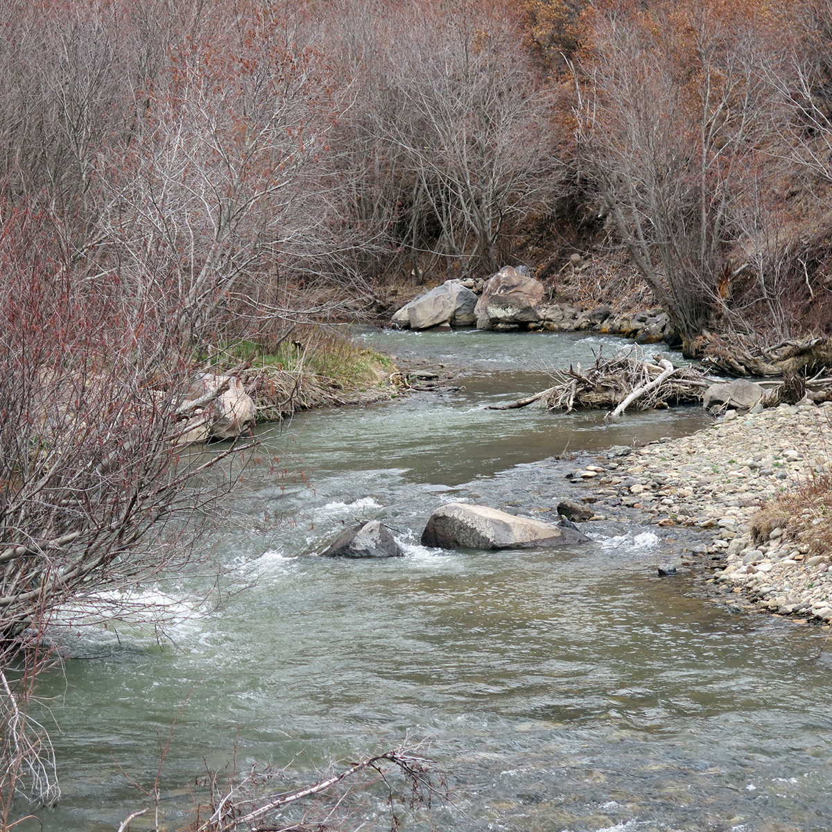 Fishing Visit Questa